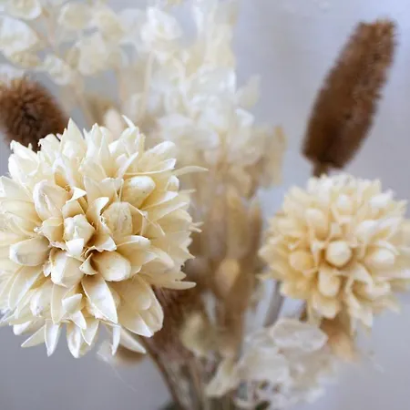 Apartamento Nova - 22 I Phantasialand I Cologne I Bonn Erftstadt