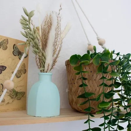 Nova - 22 I Phantasialand I Cologne I Bonn *