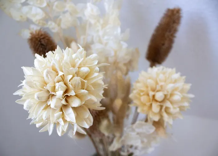 Lejlighed Nova - 22 I Phantasialand I Cologne I Bonn Erftstadt