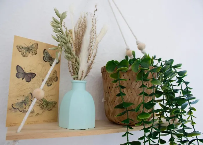 Nova - 22 I Phantasialand I Cologne I Bonn *